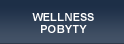 Wellness pobyty